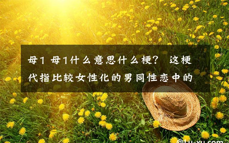 母1 母1什么意思什么梗？ 这梗代指比较女性化的男同性恋中的攻