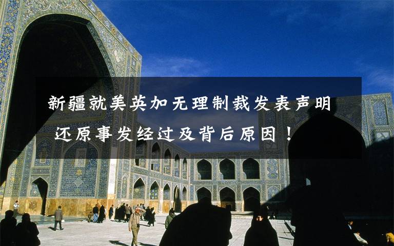 新疆就美英加无理制裁发表声明 还原事发经过及背后原因！