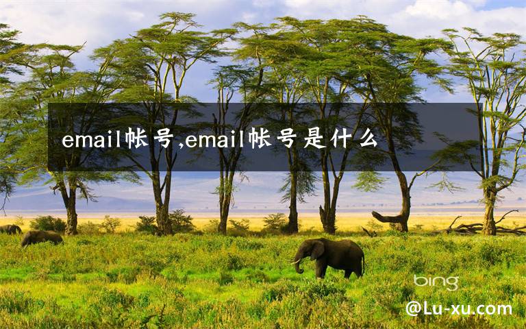 email帐号,email帐号是什么