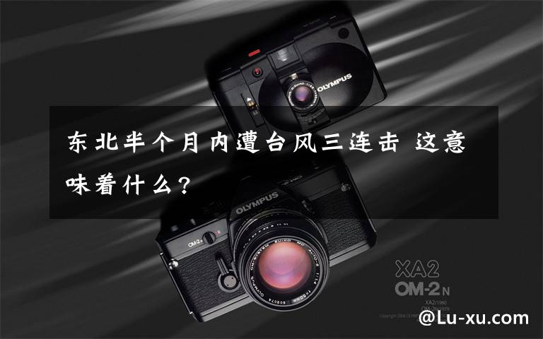 东北半个月内遭台风三连击 这意味着什么?