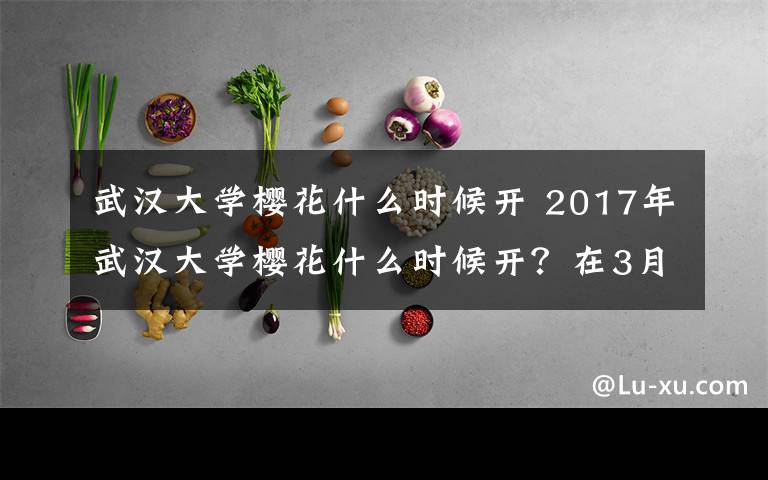 武汉大学樱花什么时候开 2017年武汉大学樱花什么时候开？在3月8日进入初花期