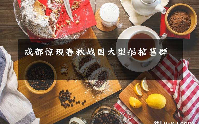成都惊现春秋战国大型船棺墓群