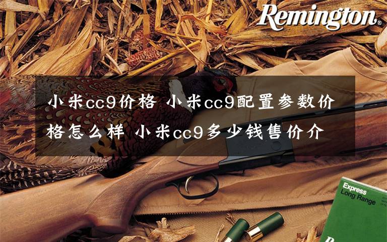 小米cc9价格 小米cc9配置参数价格怎么样 小米cc9多少钱售价介绍