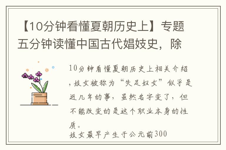【10分钟看懂夏朝历史上】专题五分钟读懂中国古代娼妓史，除了“性”还有更多你不知道的事