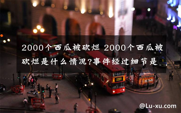 2000个西瓜被砍烂 2000个西瓜被砍烂是什么情况?事件经过细节是什么?背后真相曝光