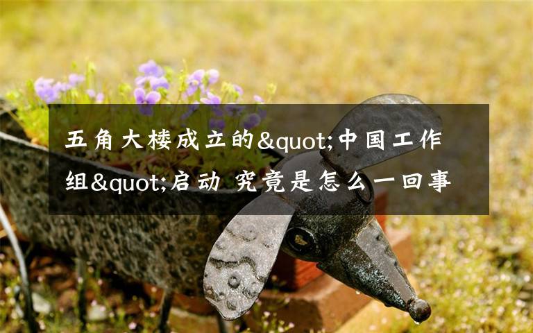 五角大楼成立的"中国工作组"启动 究竟是怎么一回事 这是做什么的