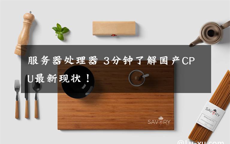 服务器处理器 3分钟了解国产CPU最新现状！