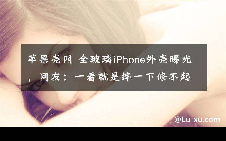 苹果壳网 全玻璃iPhone外壳曝光，网友：一看就是摔一下修不起的那种