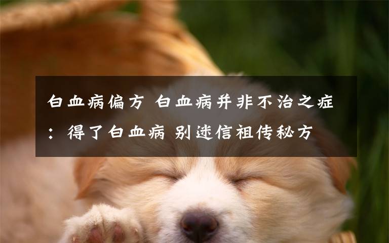 白血病偏方 白血病并非不治之症：得了白血病 别迷信祖传秘方