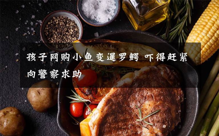 孩子网购小鱼变暹罗鳄 吓得赶紧向警察求助