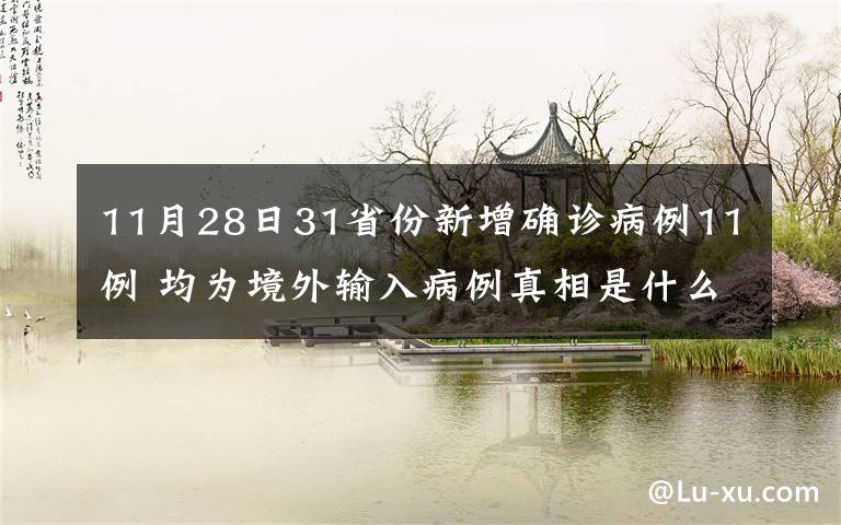 11月28日31省份新增确诊病例11例 均为境外输入病例真相是什么？