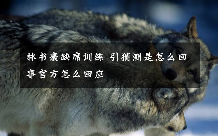 林书豪缺席训练 引猜测是怎么回事官方怎么回应