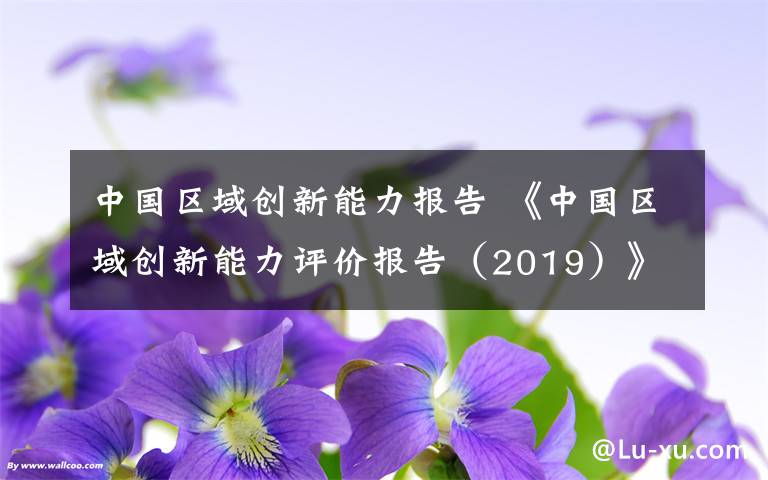 中国区域创新能力报告 《中国区域创新能力评价报告（2019）》
