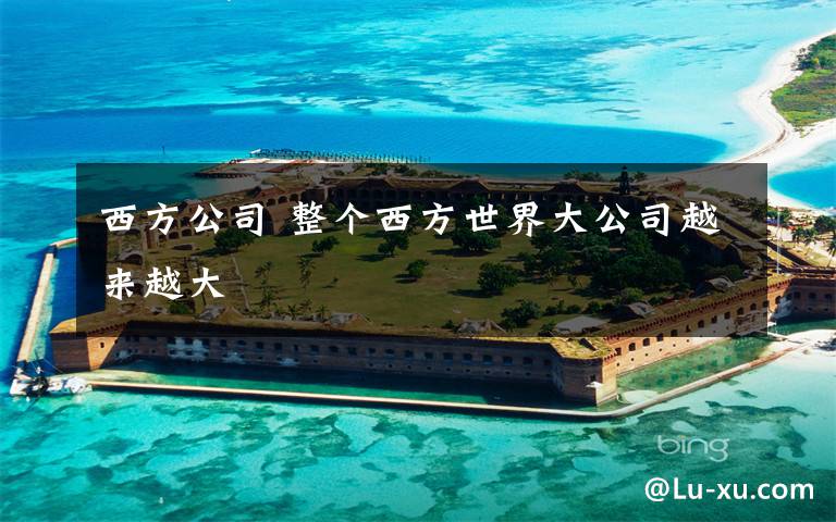 西方公司 整个西方世界大公司越来越大