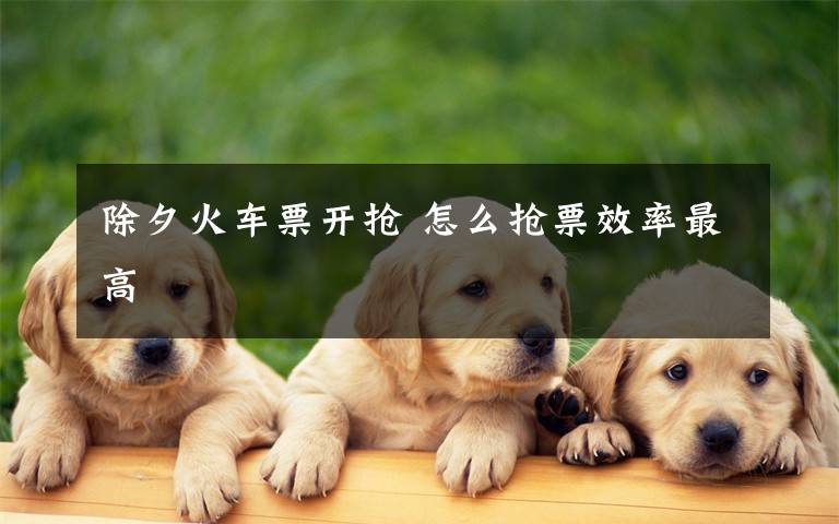 除夕火车票开抢 怎么抢票效率最高