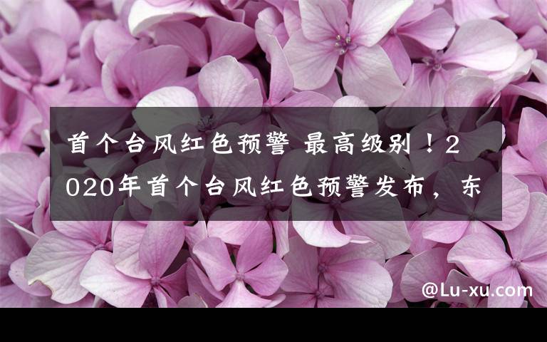 首个台风红色预警 最高级别！2020年首个台风红色预警发布，东北网友们开始担心