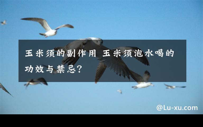 玉米须的副作用 玉米须泡水喝的功效与禁忌？
