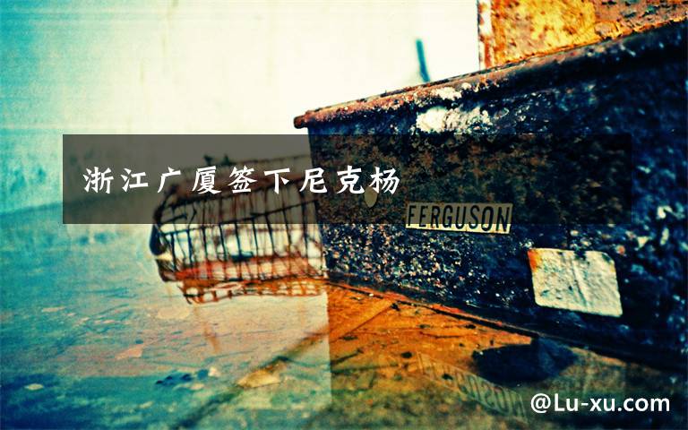 浙江广厦签下尼克杨