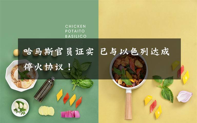 哈马斯官员证实 已与以色列达成停火协议！