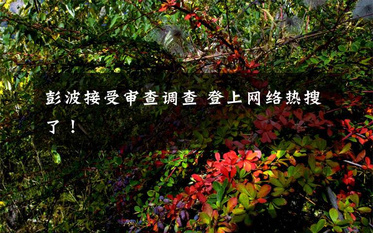 彭波接受审查调查 登上网络热搜了！