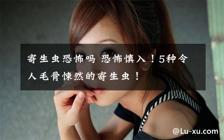 寄生虫恐怖吗 恐怖慎入！5种令人毛骨悚然的寄生虫！