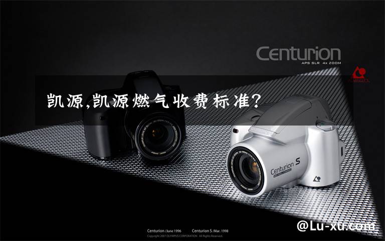 凯源,凯源燃气收费标准？