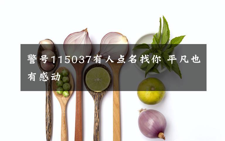 警号115037有人点名找你 平凡也有感动
