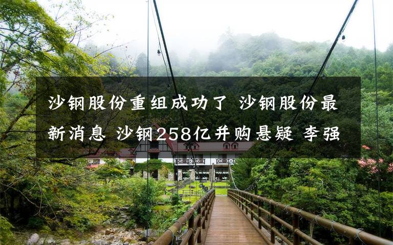 沙钢股份重组成功了 沙钢股份最新消息 沙钢258亿并购悬疑 李强与沙钢什么关系？