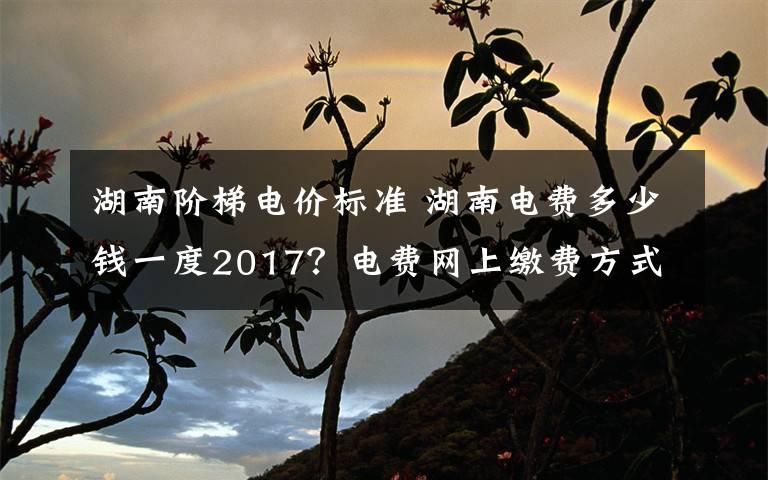 湖南阶梯电价标准 湖南电费多少钱一度2017？电费网上缴费方式