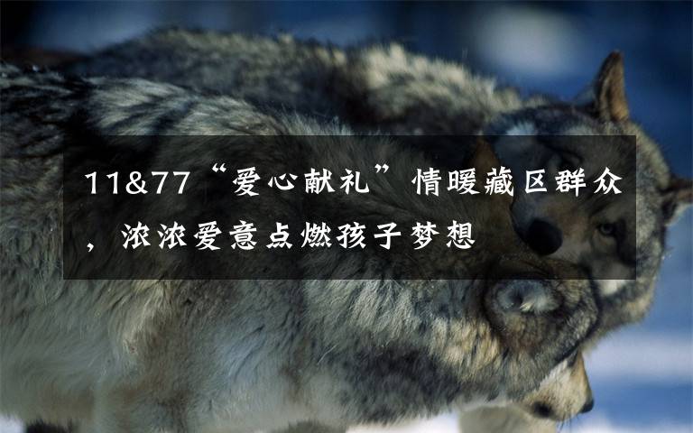 11&77“爱心献礼”情暖藏区群众，浓浓爱意点燃孩子梦想