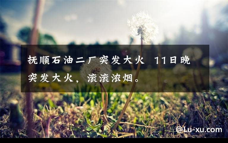 抚顺石油二厂突发大火  11日晚突发大火，滚滚浓烟。