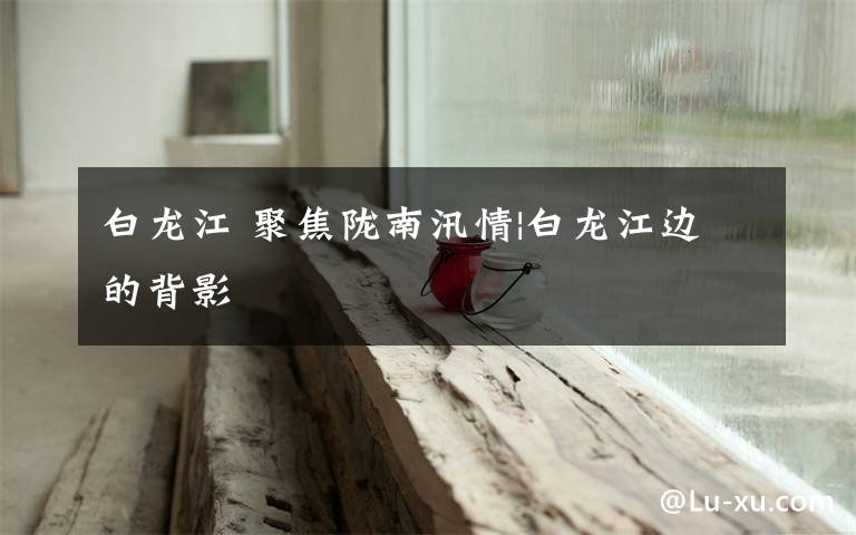 白龙江 聚焦陇南汛情|白龙江边的背影