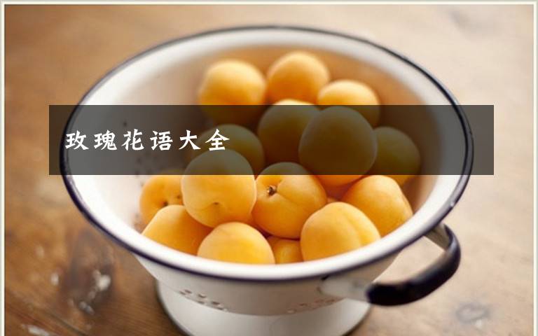 玫瑰花语大全
