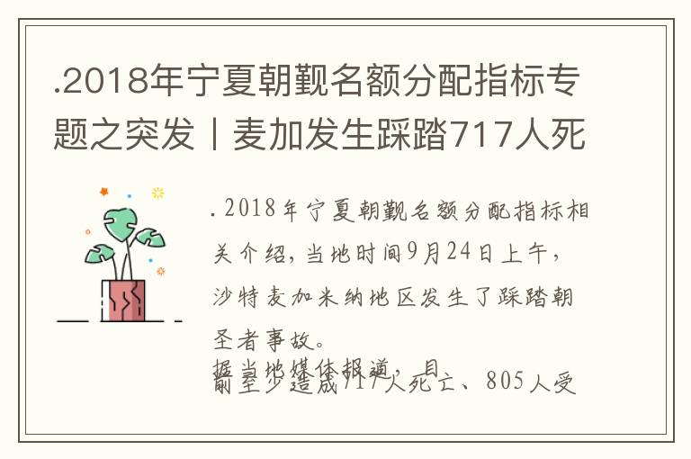 .2018年宁夏朝觐名额分配指标专题之突发丨麦加发生踩踏717人死亡，宁夏2833名朝觐者请平安回来吧！