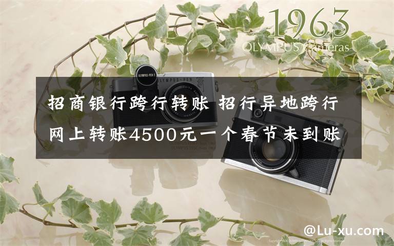 招商银行跨行转账 招行异地跨行网上转账4500元一个春节未到账