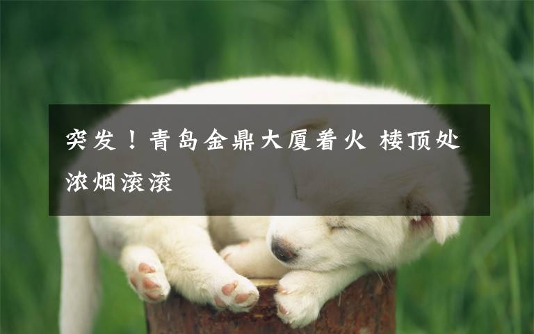 突发！青岛金鼎大厦着火 楼顶处浓烟滚滚