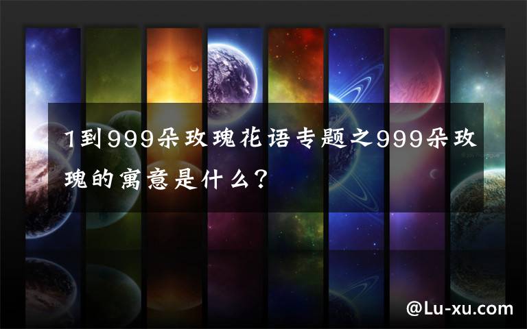 1到999朵玫瑰花语专题之999朵玫瑰的寓意是什么？