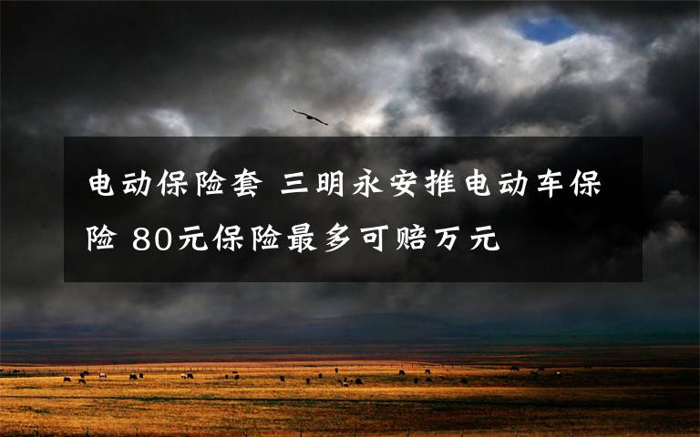 电动保险套 三明永安推电动车保险 80元保险最多可赔万元