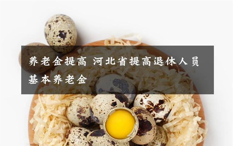 养老金提高 河北省提高退休人员基本养老金