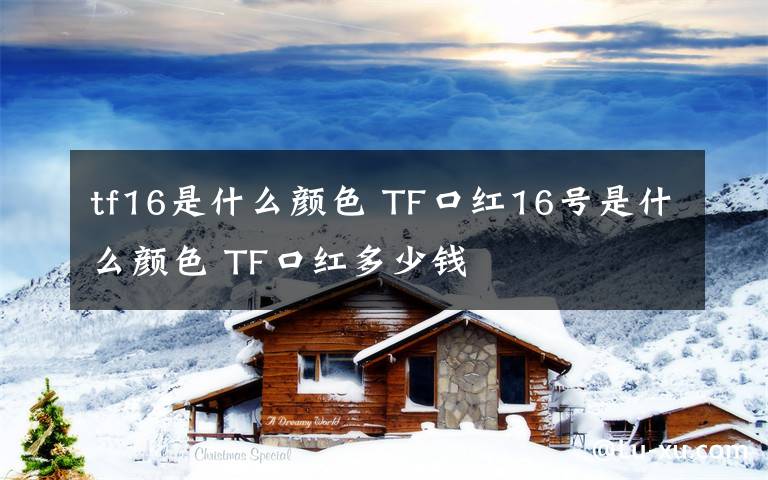 tf16是什么颜色 TF口红16号是什么颜色 TF口红多少钱