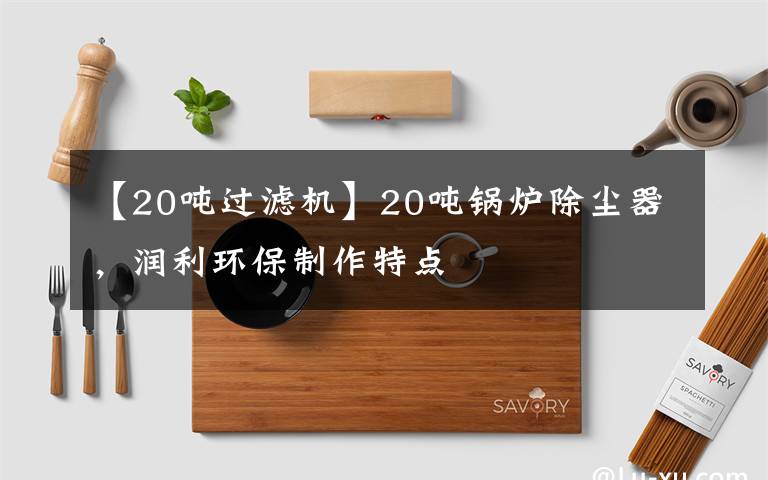 【20吨过滤机】20吨锅炉除尘器，润利环保制作特点