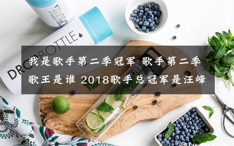 我是歌手第二季冠军 歌手第二季歌王是谁 2018歌手总冠军是汪峰还是结石姐