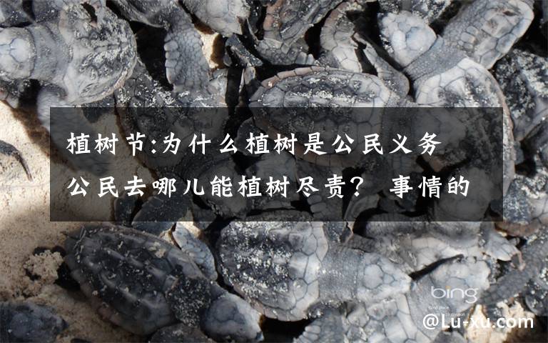 植树节:为什么植树是公民义务 公民去哪儿能植树尽责？ 事情的详情始末是怎么样了！