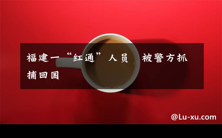 福建一“红通”人员　被警方抓捕回国