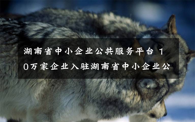 湖南省中小企业公共服务平台 10万家企业入驻湖南省中小企业公共服务平台
