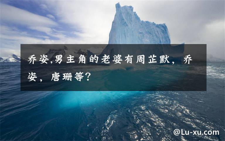 乔姿,男主角的老婆有周芷默，乔姿，唐珊等？