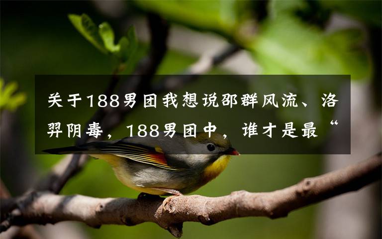 关于188男团我想说邵群风流、洛羿阴毒，188男团中，谁才是最“渣”的那个？