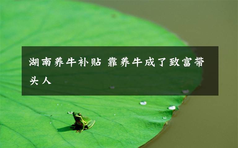 湖南养牛补贴 靠养牛成了致富带头人