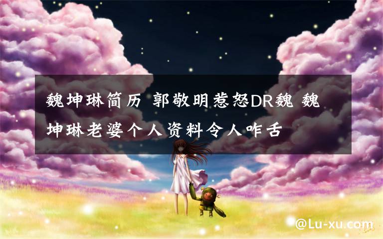 魏坤琳简历 郭敬明惹怒DR魏 魏坤琳老婆个人资料令人咋舌