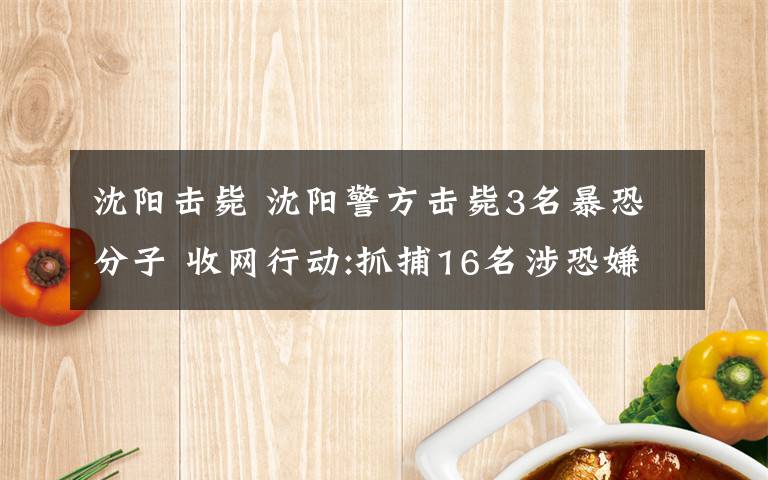 沈阳击毙 沈阳警方击毙3名暴恐分子 收网行动:抓捕16名涉恐嫌疑人